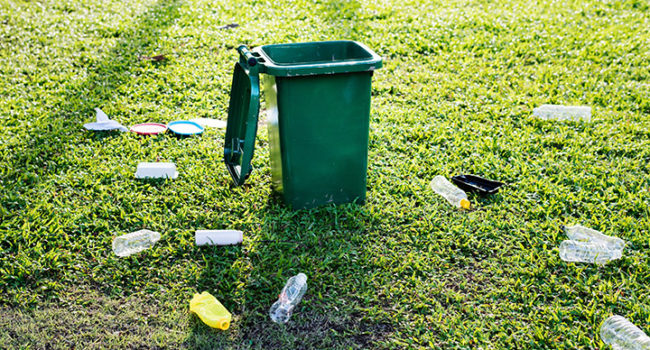 bottles-careless-daylight-1353365